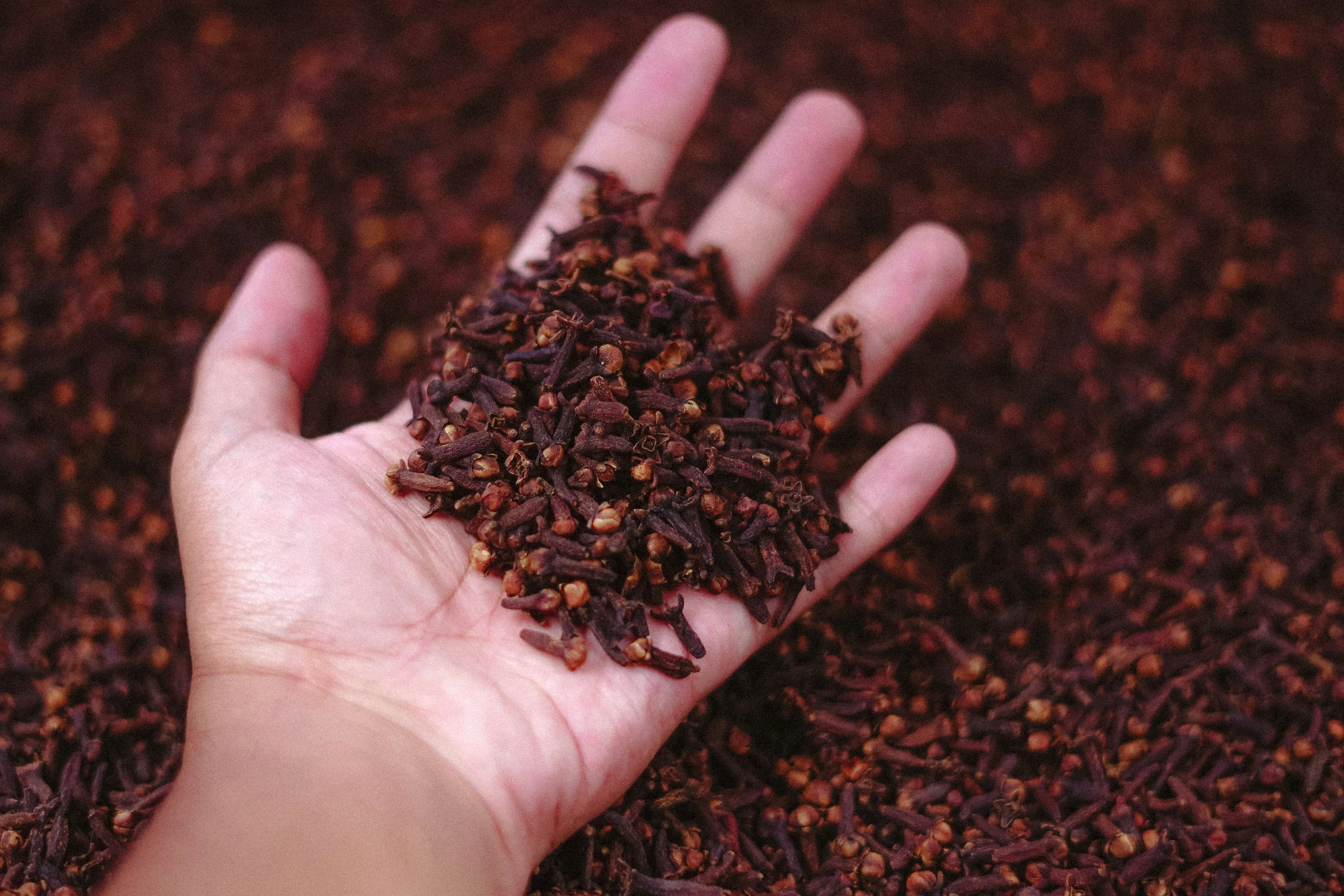 Contact HerbaVital